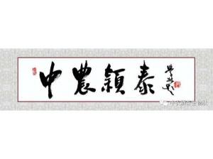2021年:工作動(dòng)態(tài),中農(nóng)穎泰工會(huì)順利換屆